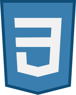 css3